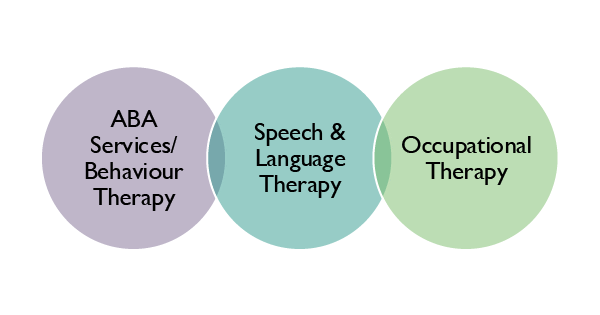 Individual therapy services at Giant Steps