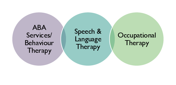 Individual therapy services at Giant Steps