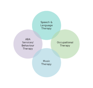 Individual therapy services