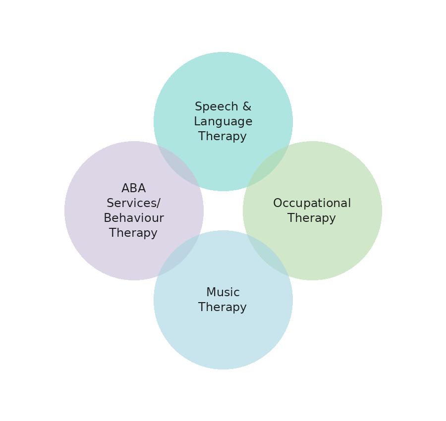Individual therapy services at Giant Steps